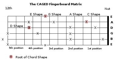 caged_fingerboard